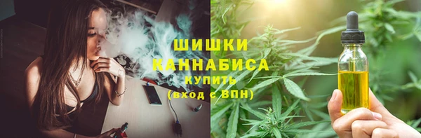 МДПВ Каменногорск