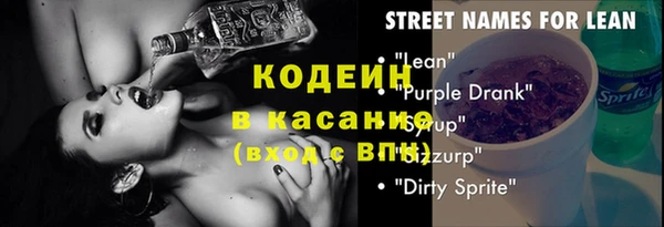 МДПВ Каменногорск