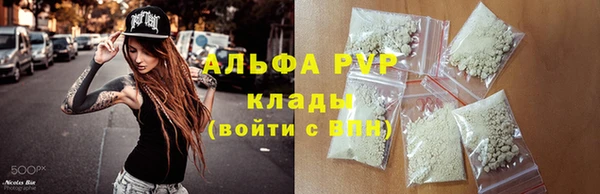 МДПВ Каменногорск