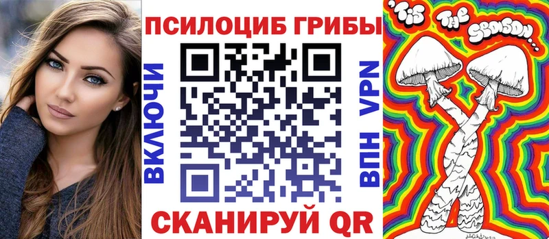 Купить закладки  Богданович  Псилоцибиновые грибы прущие грибы 
